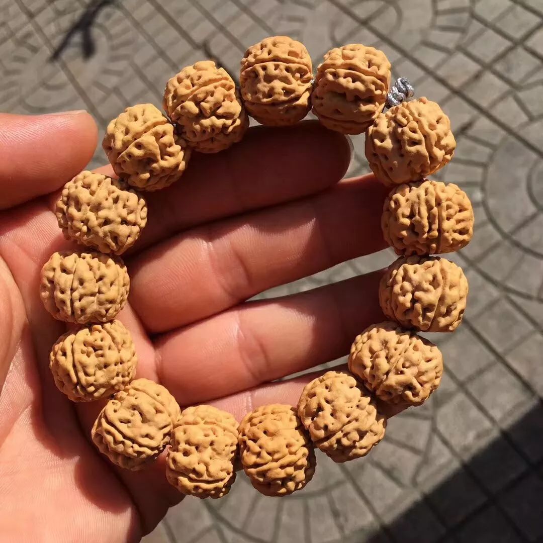 大金刚和小金刚哪个好玩,新手推荐小金刚还是大金刚