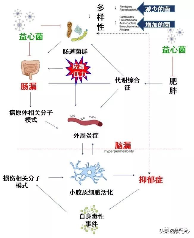 肠漏综合征的五大危害,肠瘘是一切病的根源