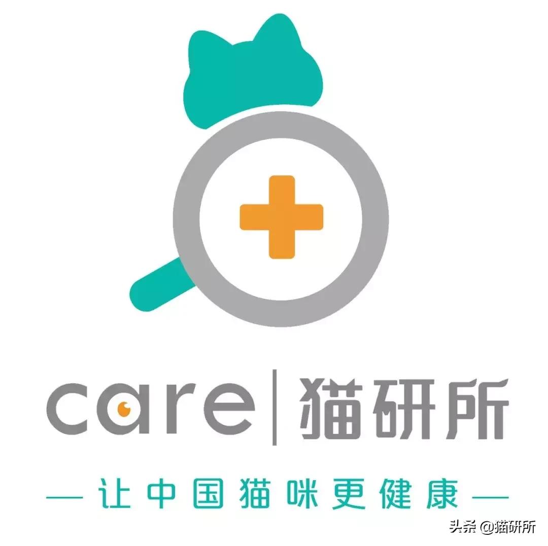 猫咪得了严重口炎怎么治,猫咪得了口炎如何能治愈