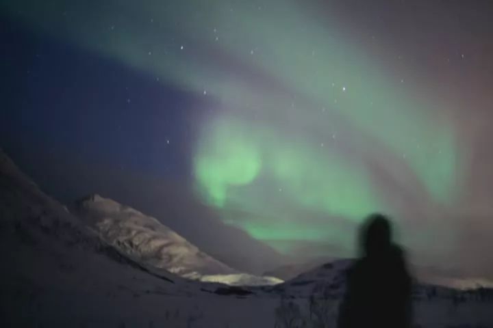 暑期必看的炸裂口碑纪录片,暑期不虚度七部神级纪录片陪你