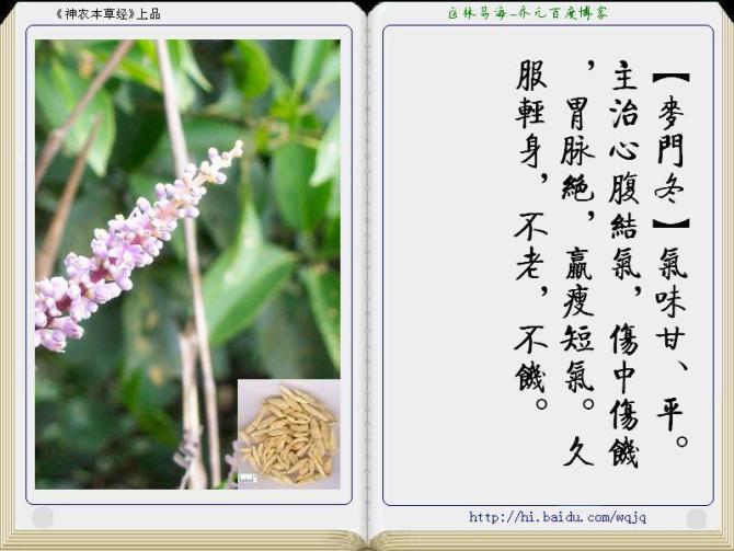 本草纲目中药讲解视频,本草纲目中药图谱及药理讲解