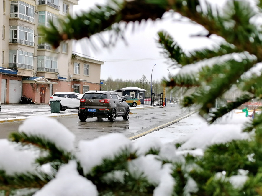 沙特50度高温、东北入夏失败，2021年，地球为什么开始躁动不安？