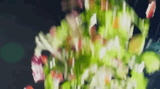 大董酥不腻烤鸭介绍,大董酥不腻烤鸭宣传片