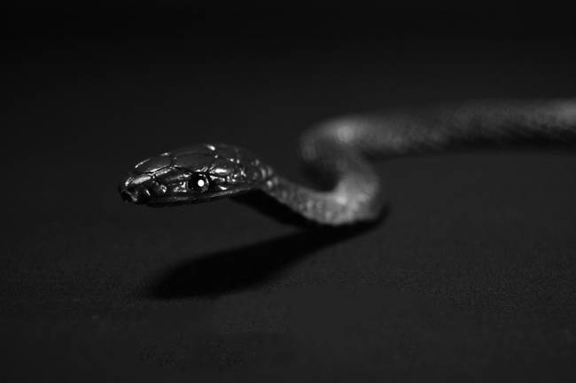 恐鸡症是什么原因,恐鸡症和羽毛恐惧症