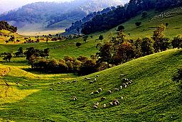 宝鸡凤翔要闻聚焦两会,宝鸡新闻网今日要闻