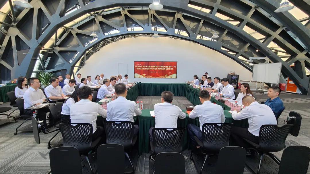 武汉空港新城项目,武汉空港新城综合环境设施工程