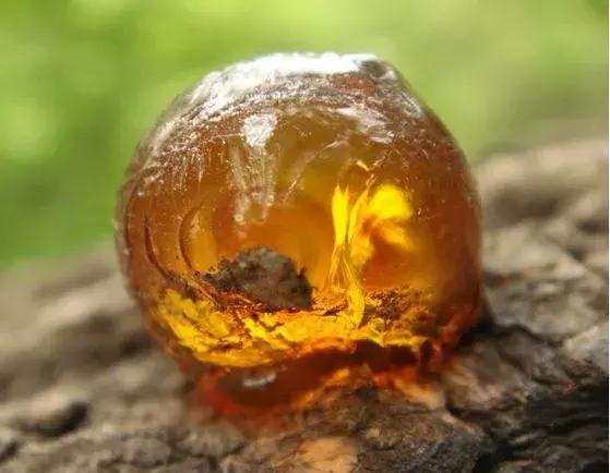 梦游吃什么药调理,成人梦游最佳调理方法