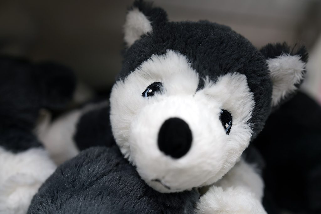 蔡司batis50-1.4镜头评测,蔡司batis镜头18-2