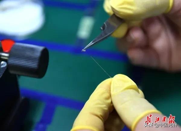 “驯”光20年，光谷这家企业在头发粗细的光纤上磨透镜