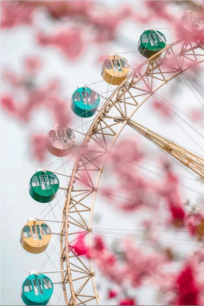 合肥非物质文化遗产园玻璃桥门票,合肥十大必去景点20元门票