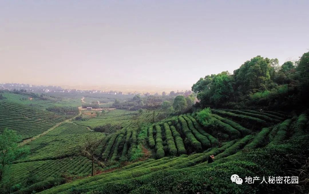 中国最美历史文化小镇,良渚文化村简介