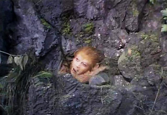 知错能改善莫大焉是孔子说的吗,知错能改善莫大焉出自于哪位古人