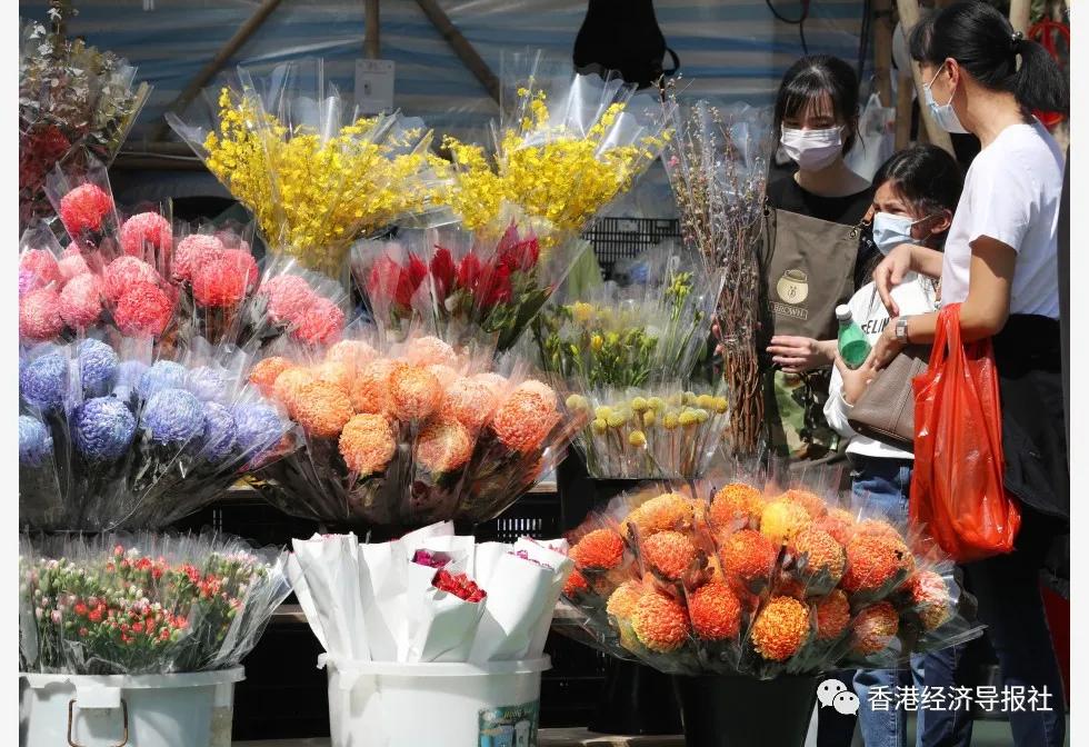 情人节该怎么过香港,香港春节遇上情人节怎么过