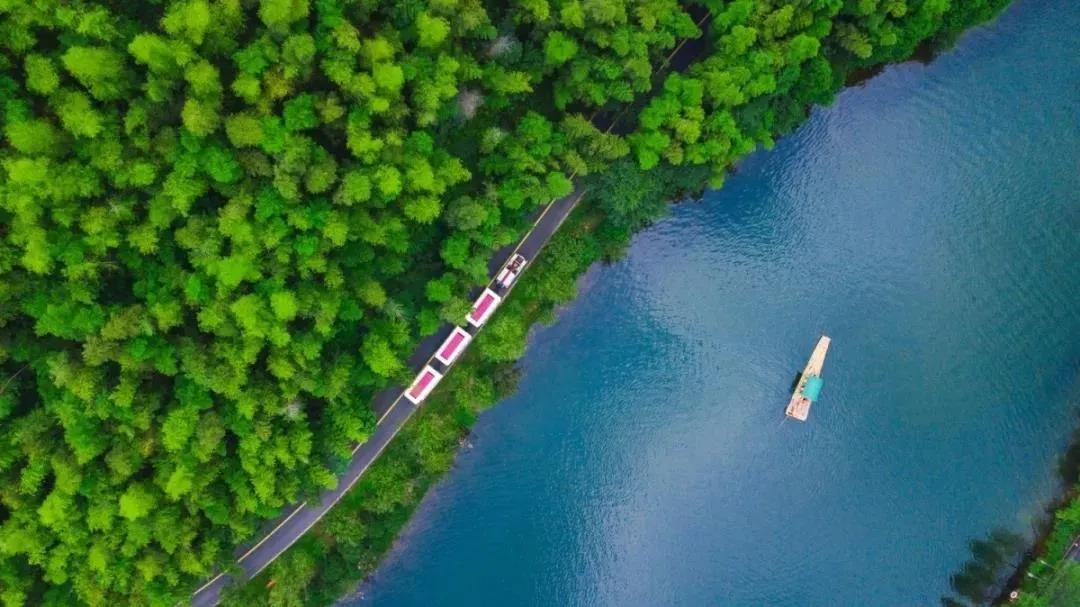 安吉竹海民宿推荐,竹海景观民宿安吉