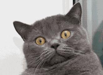 医生为什么问是否接受拔牙,医生为什么要我们拔牙