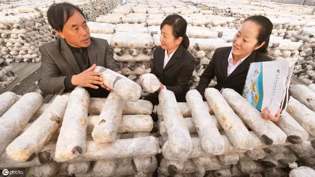 农业贷如何申请,农业贷款做什么样的