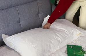 螨虫的小红疙瘩如何消退,家里有螨虫过敏者