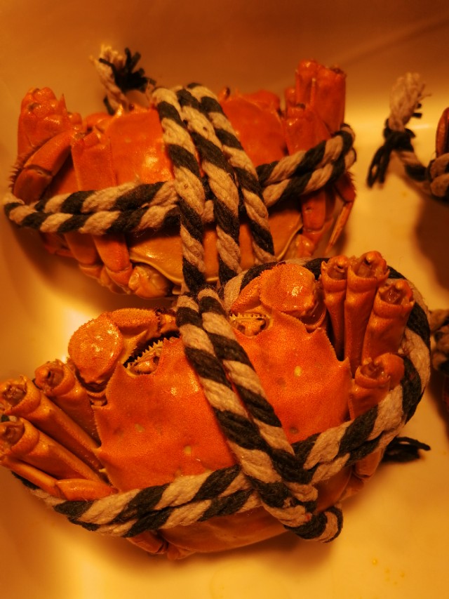 郑州金水路沿线酒店,郑州中原路五星级酒店