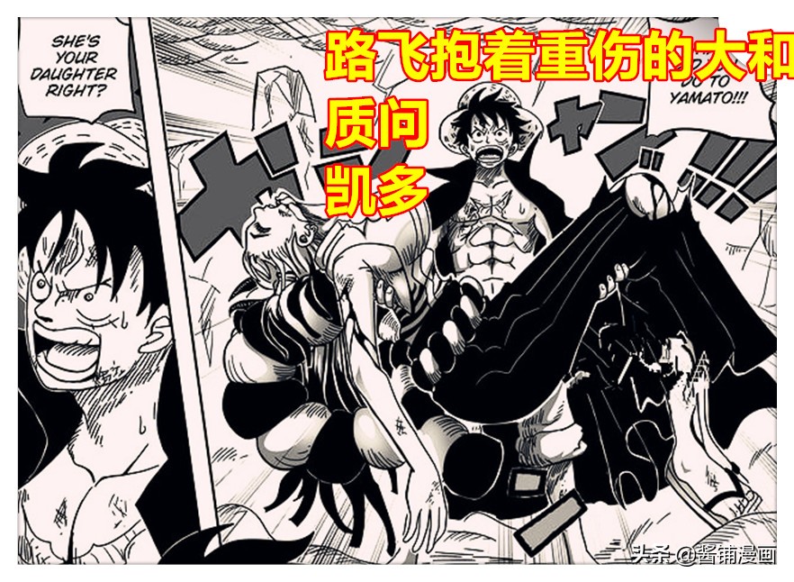 海贼王1017话同人,海贼王1016话可以和凯多一战的人