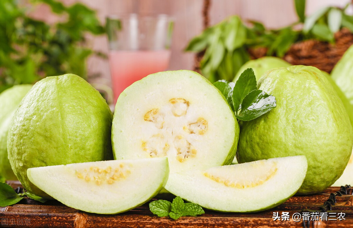 番石榴挂果次数少是什么原因,番石榴膨果期管理技术