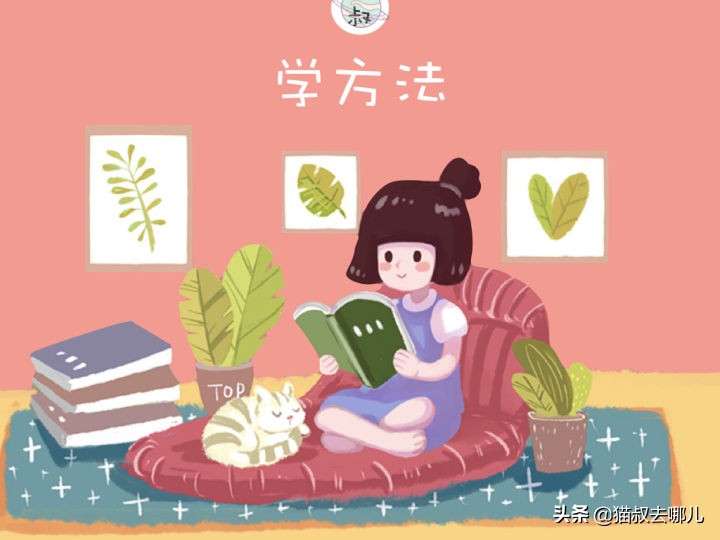 养猫怎么养大小猫,养猫怎么才能养好小猫咪