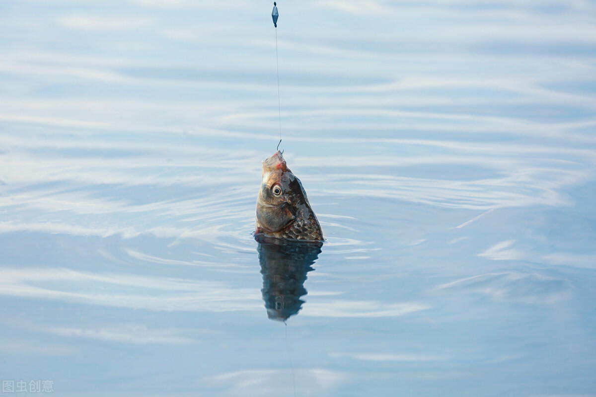 钓到大鱼正确的溜鱼法,老钓手操作视频