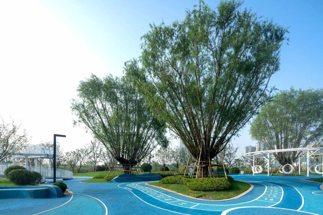 新区新建公园规划,主城区公园