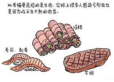 妈妈不舍宠物猫，婴儿肺里竟有猫毛?宠物与宝宝如何兼得?