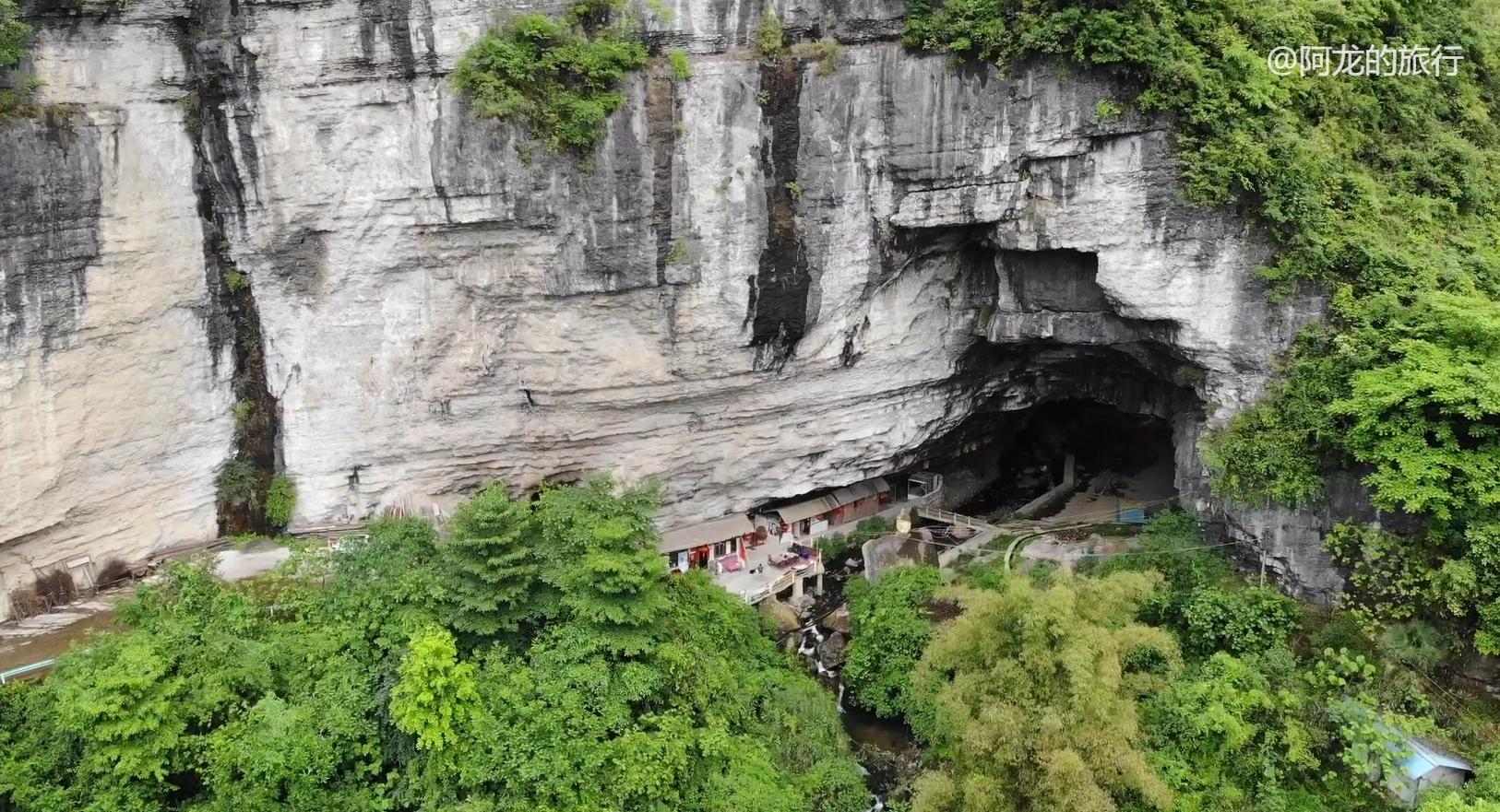 小伙26岁辞职,带着狗游遍半个中国:没工作,我活得更快乐