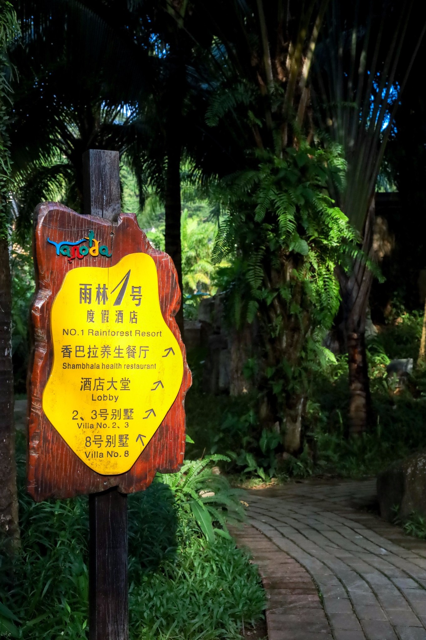 呀诺达雨林探险是什么,三亚呀诺达雨林正规吗