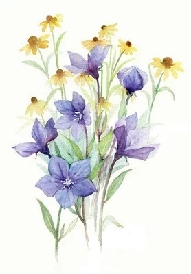 离婚半年了前妻再婚过得很幸福,这是我第33次离婚完整版