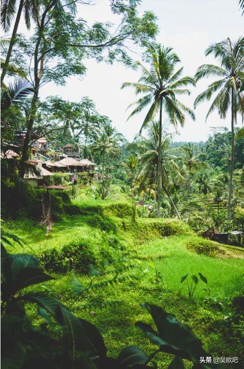 蜜月潜水看海推荐,全球最适合蜜月旅游的海岛