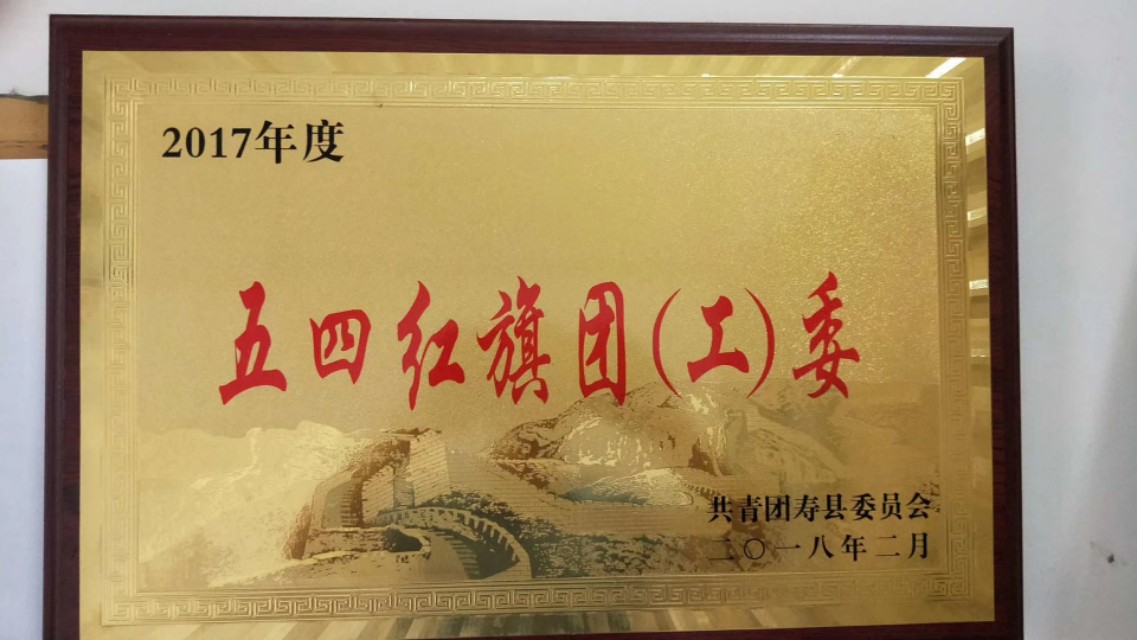 希望母校,安徽省淮南市寿县炎刘中学校友