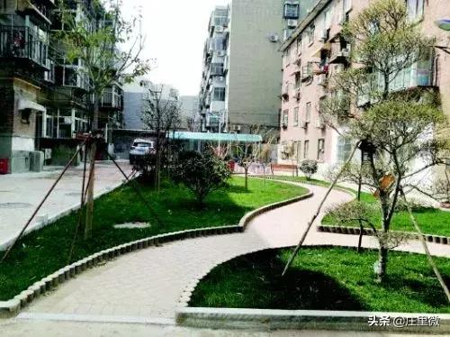 庄里镇限行通知,庄里限号最新通知