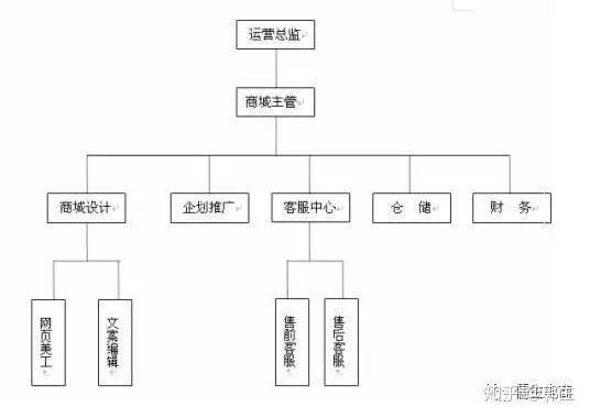 天猫运营计划书ppt免费,天猫入驻运营计划ppt