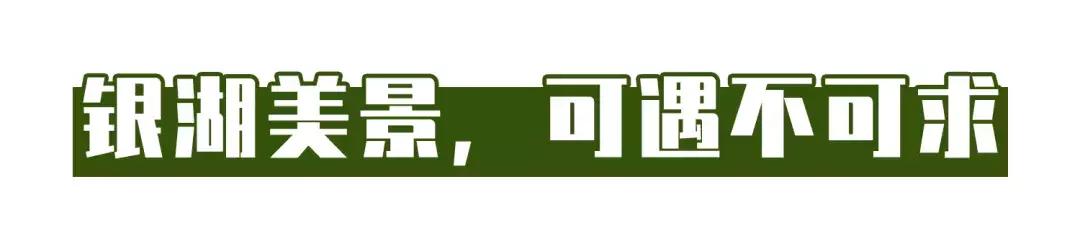 深圳银湖山游玩,深圳银湖有什么好玩的地方