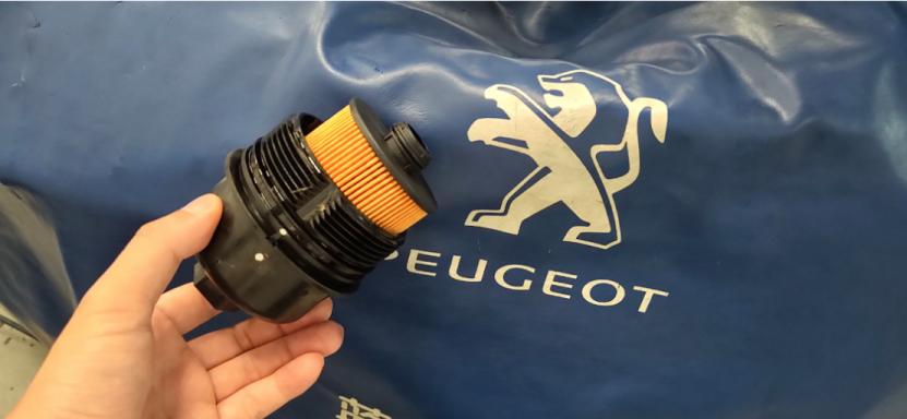 法系车4s店保养一次多少钱,法系车哪款保养便宜