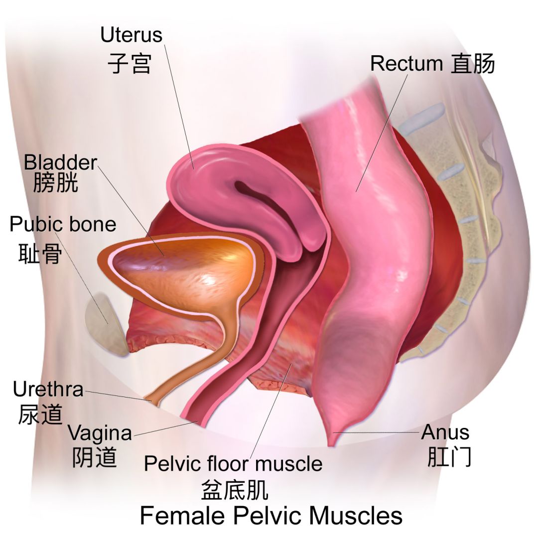 *处私**是否真的有毒，*处私**排毒项目真的靠谱吗？