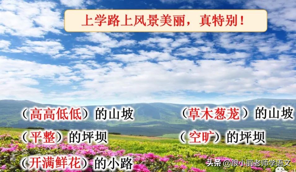 大青树下的小学重要背诵内容,大青树下的小学必会知识点