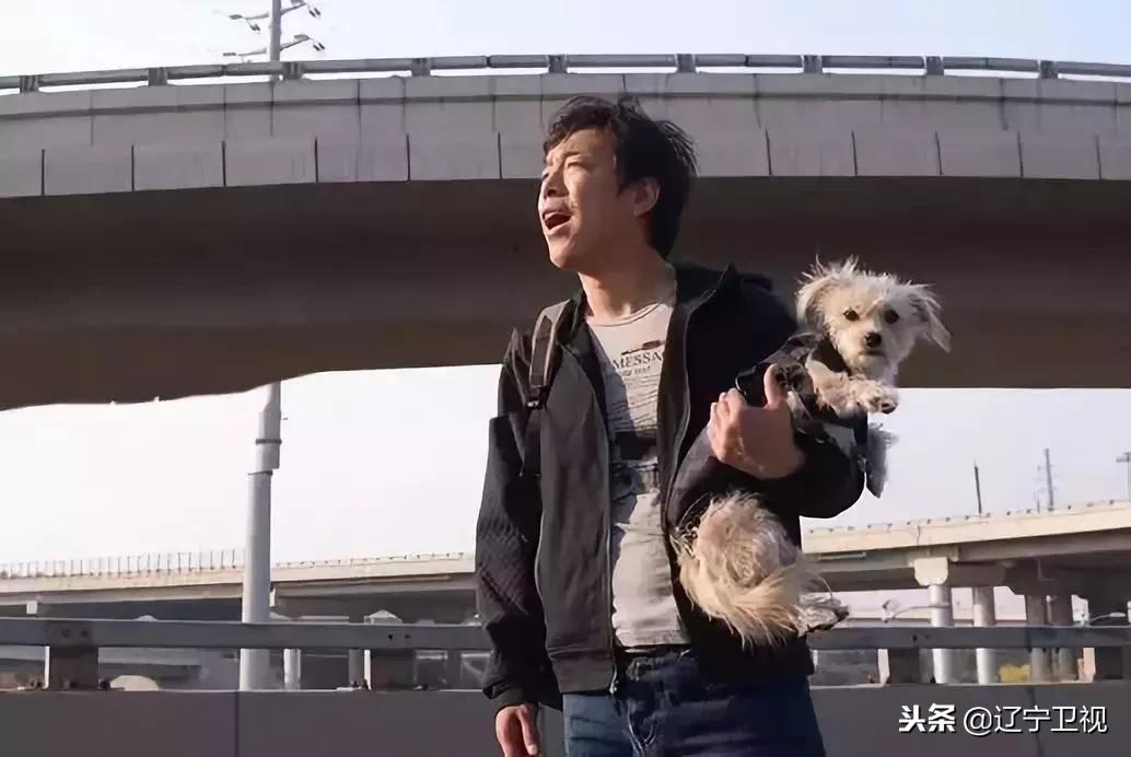 大型动物铲屎官,铲屎官为朕打下的江山猫咪