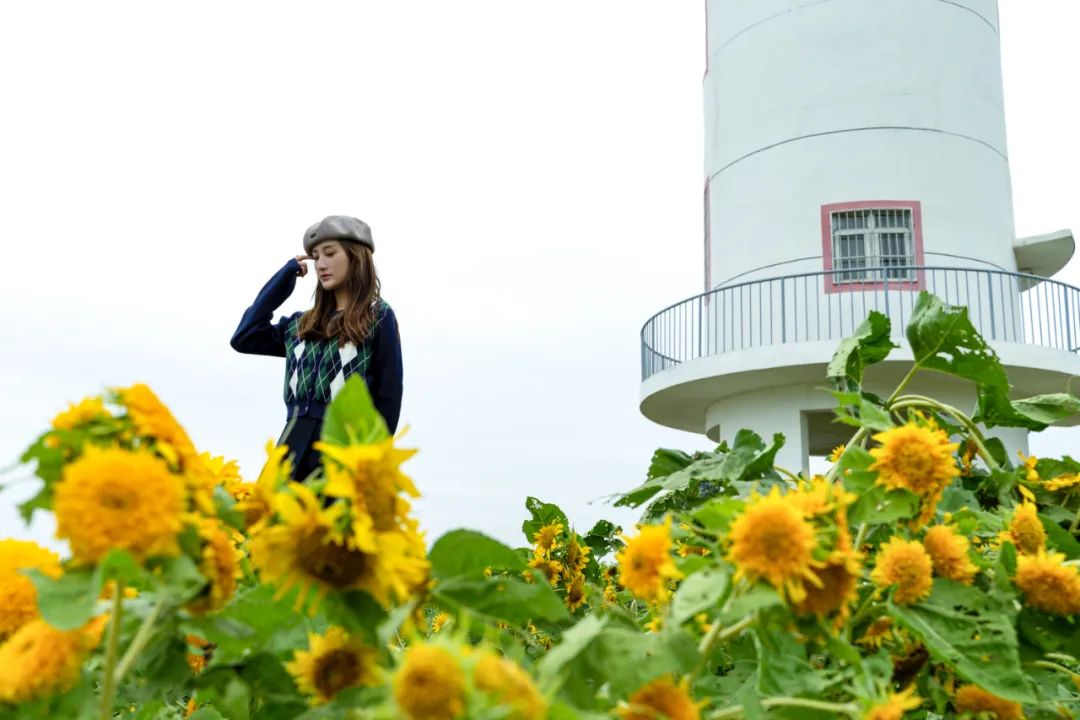 抓住春天的尾巴鸟语花香,抓住花海的尾巴
