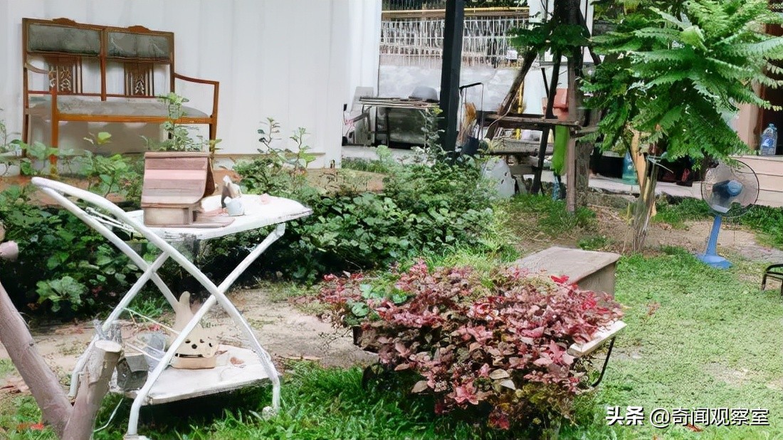 15岁女孩遭遇险境，最终实现完美自救，让潜藏多年的真凶原形毕露