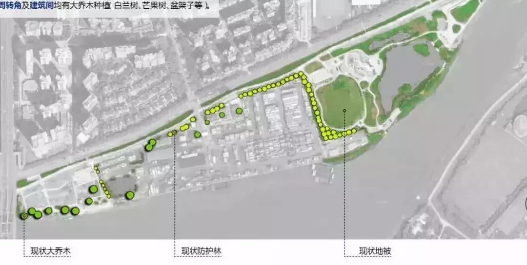 佛山新建体育场,佛山体育场