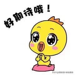 如何做外贸出口生意和跨境电商,外贸人一定要了解的国际认证