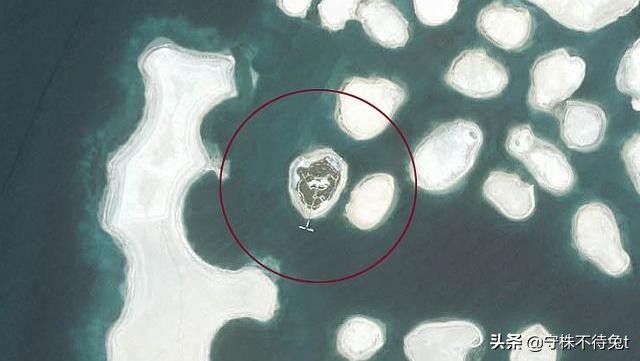 叫醒梦游的人有多可怕,10个冷知识