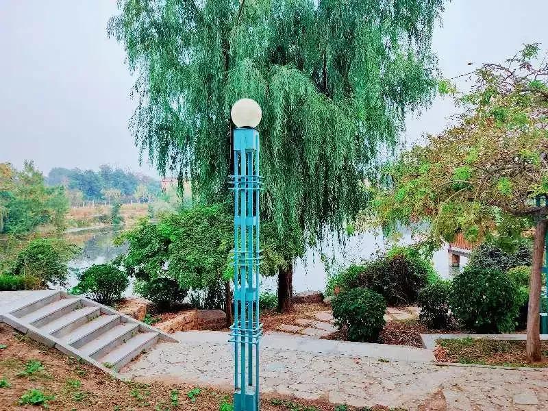 大连海事大学和辽宁省哪个级别高,大连海事大学辽宁省大学排名