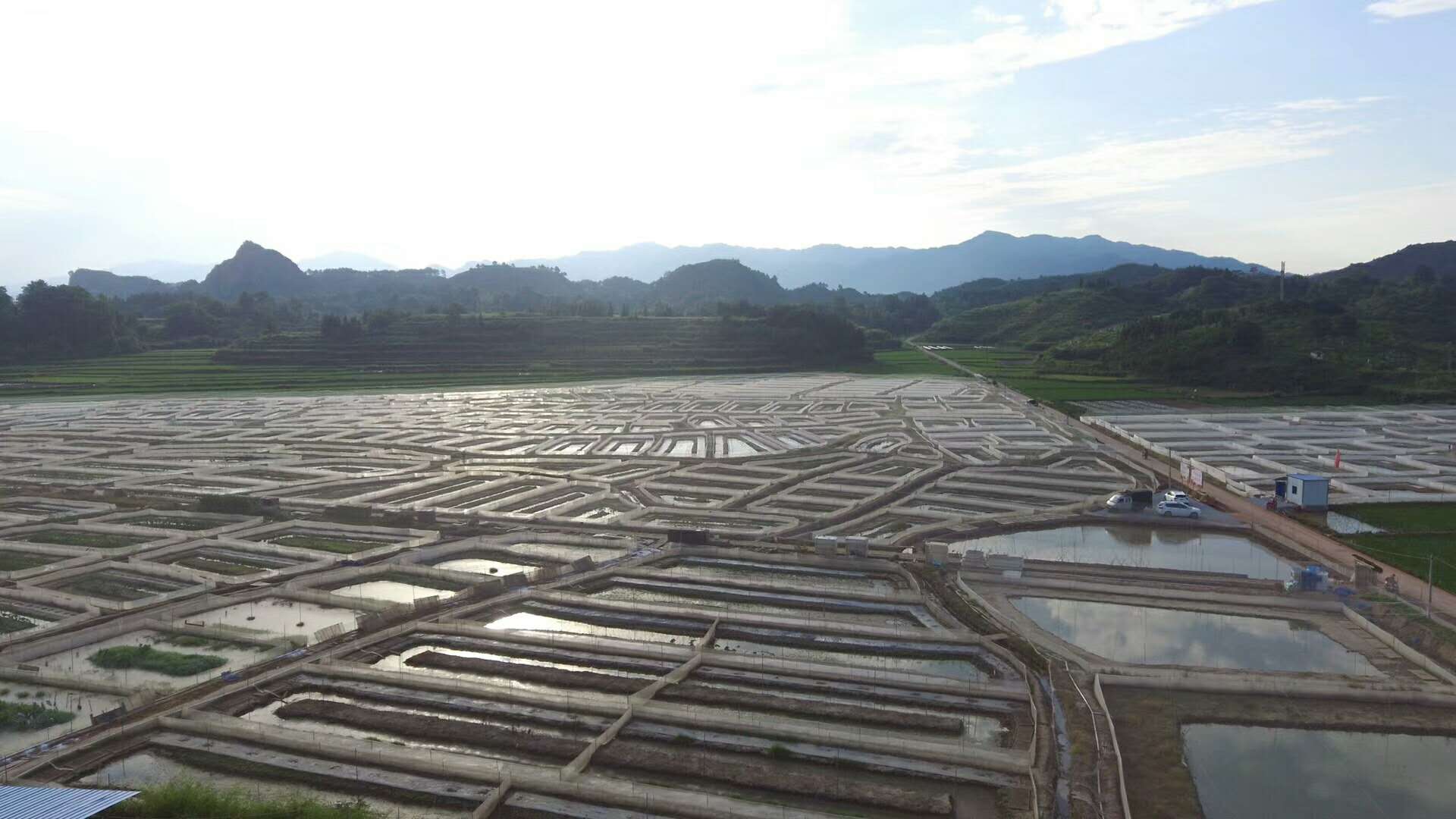 新型精准扶贫农业发展模式,农业扶贫致富新模式