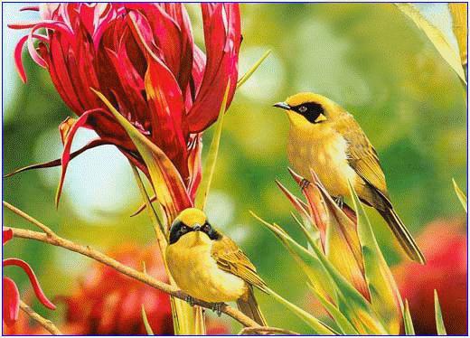 虫草山水画,四季花草山水画作品欣赏