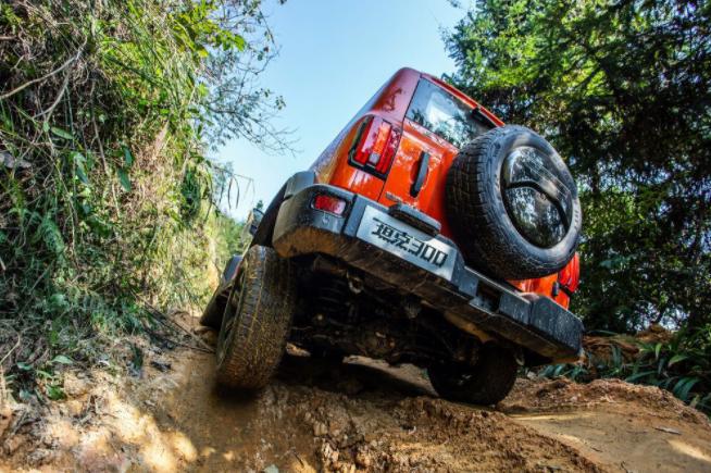 不建议穷人买的5款国产车,最良心的3款国产车