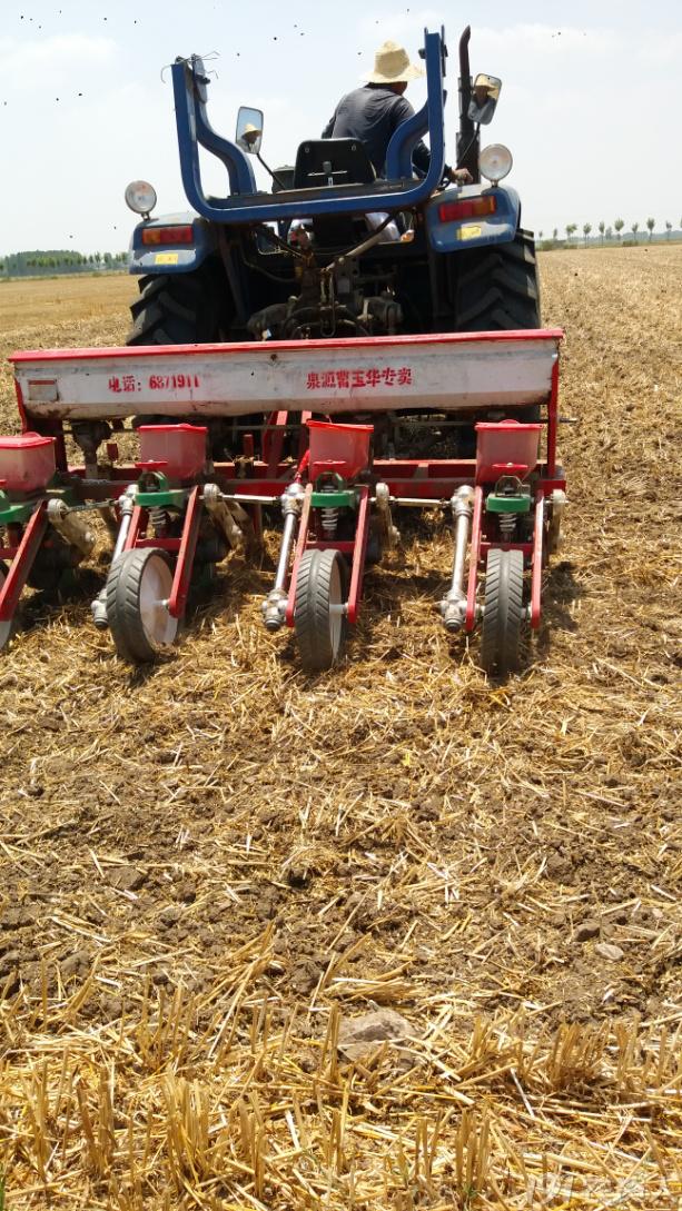 河南适合种植高产玉米,玉米高产高效种植技术